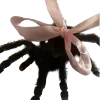 🎀