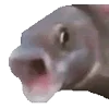 😮