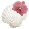 🐚