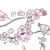 ⭐
