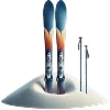 🎿