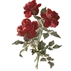 🌹