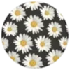 🌼