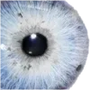 👁️