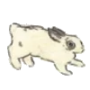 🐰