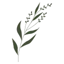 🌿