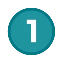 1️⃣
