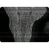 🐘