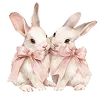 🐰