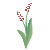 🌷