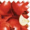 🍎