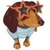 🐕