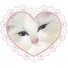 💗