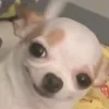 🙂