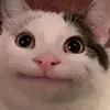 😐