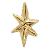 ⭐️