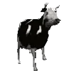 🐄