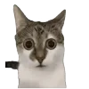😮