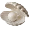 🐚