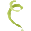🍏