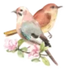 🐦