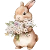 🐰