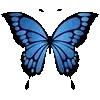 🦋