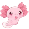 💖