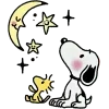🌙
