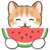 🍉