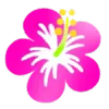 🌺