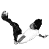🧛