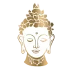 🪷