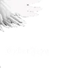 🤍