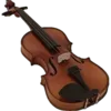 🎻