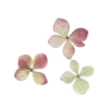 💐