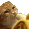 🍌