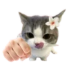 🐱