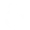 👑