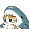 🦈