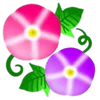 🌺