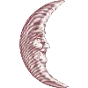 🌜