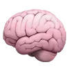 🧠