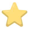 🌟