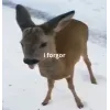 🫠