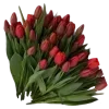 🌷