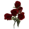 🌹