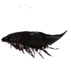 👁