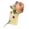 🪙