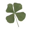 ☘